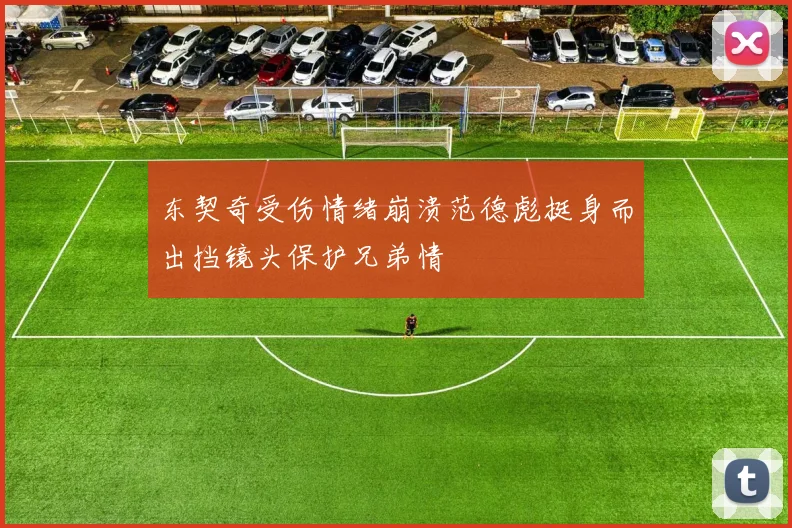 东契奇受伤情绪崩溃范德彪挺身而出挡镜头保护兄弟情